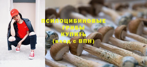 прущая мука Алексеевка