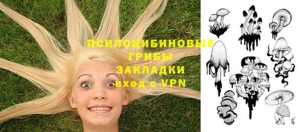 apvp Алзамай