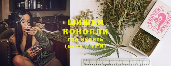 шишки Абинск