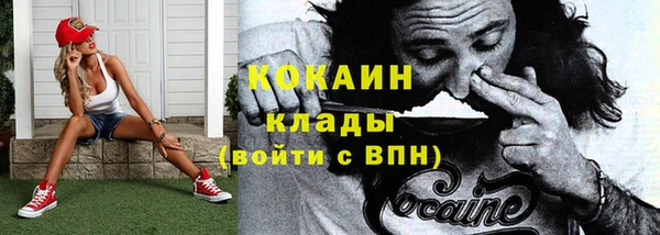 шишки Абинск